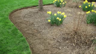 Bed Edging Smithsburg MD Landscaping Contractor