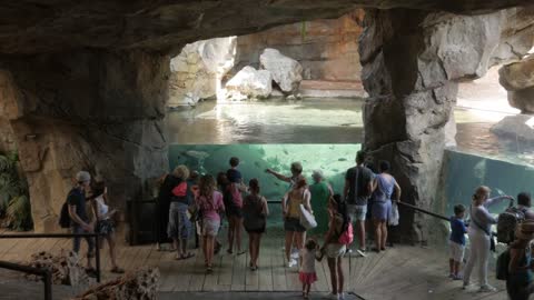 People Watching Tropical Fishes In Bioparc Of Valencia