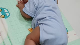 Learning To Crawl