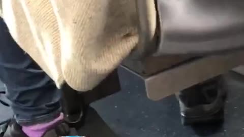 Woman white brown sweater has roach on her