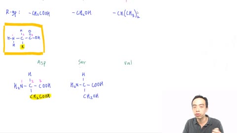 How to draw Amino Acids and Proteins