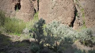 Snivley Hot Spring - Idaho Adventure Company