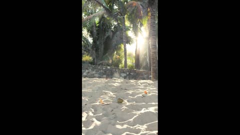 Beach front with children playing,Feet walking on the beach,Woman spins in a circle at the beach