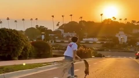 Skateboard sunrise