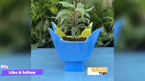 Flower vase |amazing flower vase