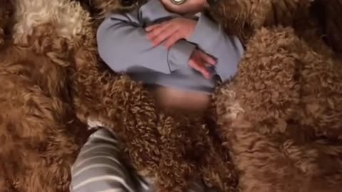 dogs cuddling with baby as he sleeps
