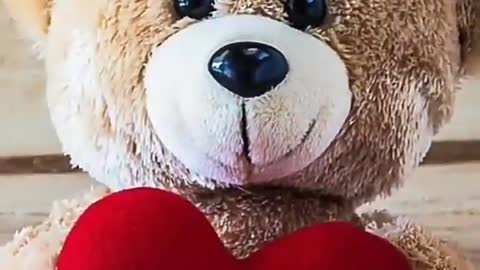 Most Beautiful Feeling in the World | Teddy bear | video