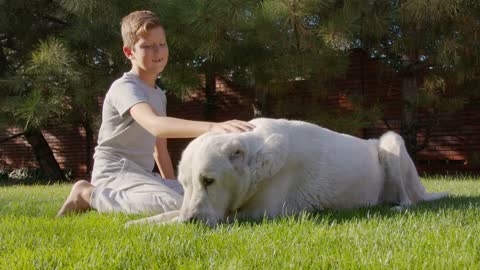 Little boy lying on the lawn of a garden is cuddling and playing with dog