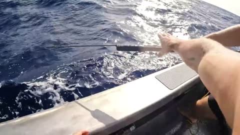 The process of catching tuna