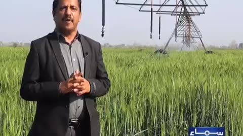 Center pivot irrigation system in Tehsil Lalian District Chiniot