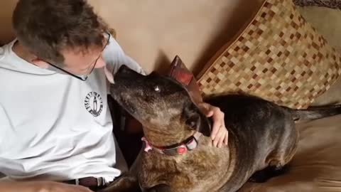 What greater gift than love of a Dog - Cute dog showing love to owner videos 2021