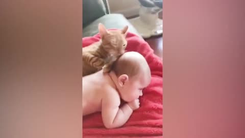 kitten licking a child's head