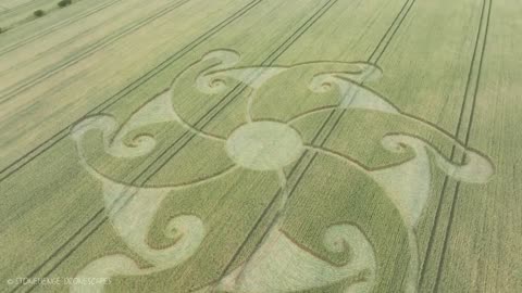 080824 Lions Gate 8/8 Crop Circle | Etchilhampton Hill Wiltshire