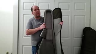 Are Music Area Bass gig bags any good ?