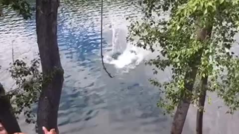 Girl rope swing face first dive