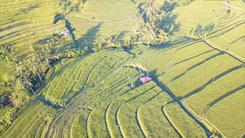 Indonesia _ Beach _ Mountains _ Bali