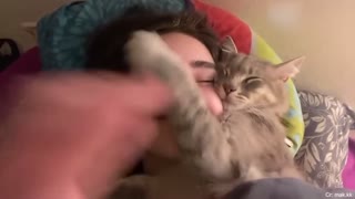 Watch This Cat And Their Human Become Best Friends, The Cat Soulmate!
