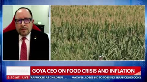 Goya ceo on food crisis and inflation...