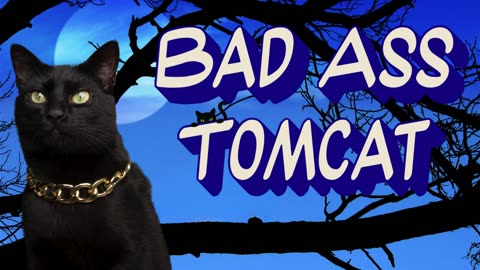 Bad Ass Tomcat