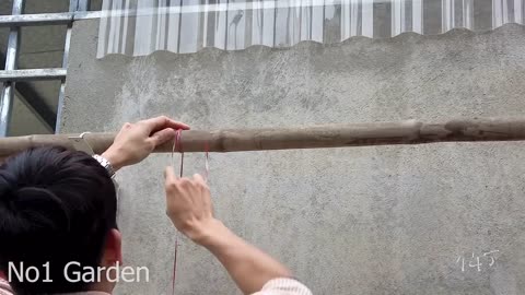 Bottle Blooms: Transforming Plastic Into Hanging Lantern Flower Pots for Vertical Gardens