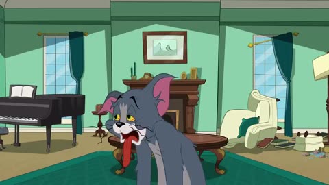 Tom jerry cartoon