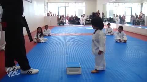 Little karate boy try to break board.