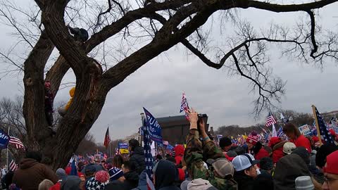 Sea of People at Trump Rally