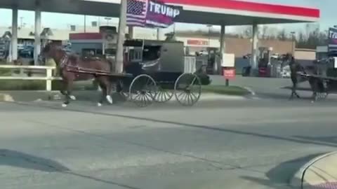 Amish on their way to SEE TRUMP in Harrisburg, PA! Beautiful