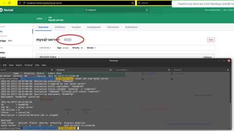 HashiCorp Nomad with NetApp SolidFire iSCSI storage