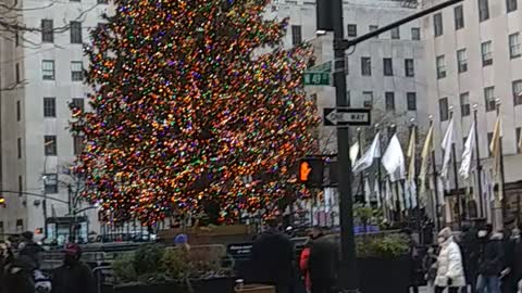 The Rockefeller Center Christmas Tree of 2021.
