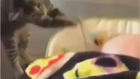 🤣 Try Not To Laugh 🤣 funny and cute cats - 😻 2021