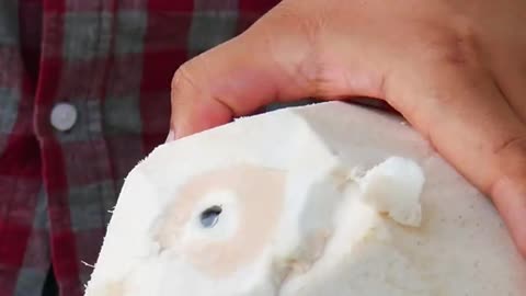 fantastic coconut peeling style