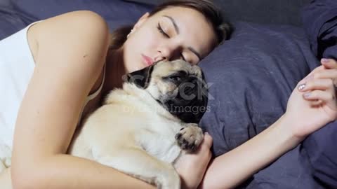 Young beautiful woman and cute pug dog sleep on the bed and hug together stock video