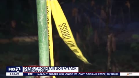 California: Mountain lion attack kills 1 man