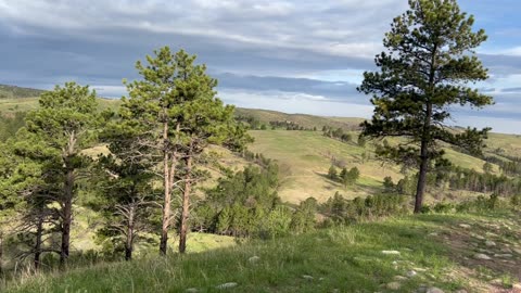 Overlook at Custer State Park South Dakota
