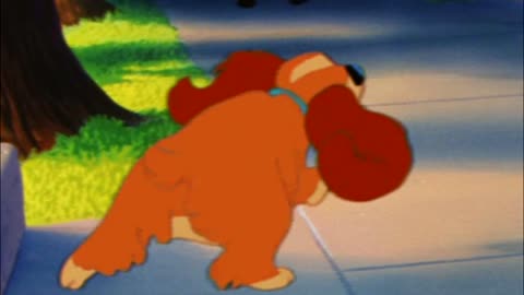 Lady Coker Spaniel's butt is underrated