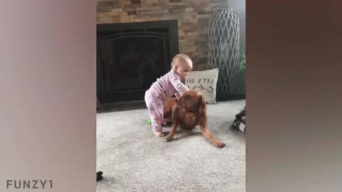 Funny Babies Playing with Dogs Compilation (Part 2)