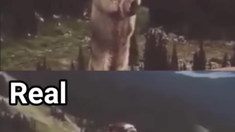 Screaming Beaver Meme vs Real