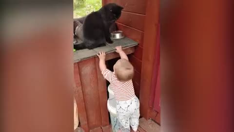 Babies playing with Dogs and Cats compilation