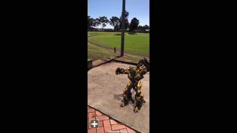 Bumblebee Dancing 2