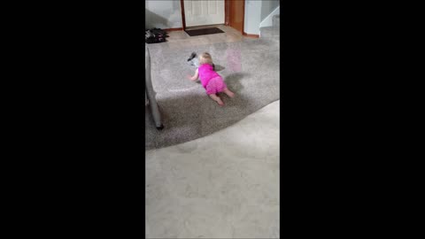 Puppy and toddler play precious game of fetch
