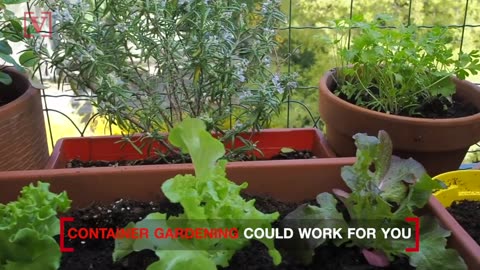 Gardening tips from home easy gardening easy farming