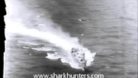 U-505 Capture Sharkhunters 73e