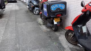 vehicles parked illegally, no penalty near chui lok street/kau hui chik street