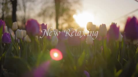 Newa Spring Relaxing Relaxation