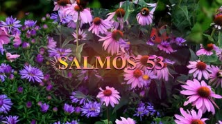 SALMOS 52, 53, 54. - Dramatización. M.Guadalupe Correa H.