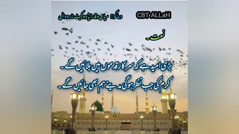 NAAT || Bari UMEED hai k Sarkar kadmo m Bulaye Gy || #nat || #naat || #kslam || official 2023