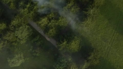 Meadow in the middle of a forest seen from above