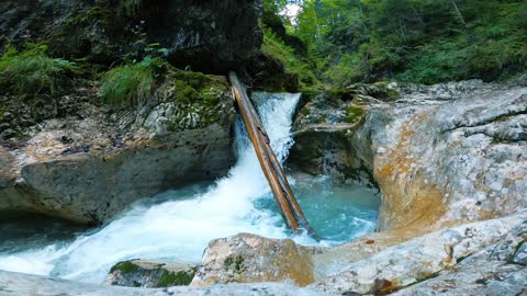 Forest River Flowing Through Rocks