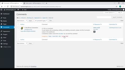 WP Training Video -16/How To Edit And Delete Comments In WordPress